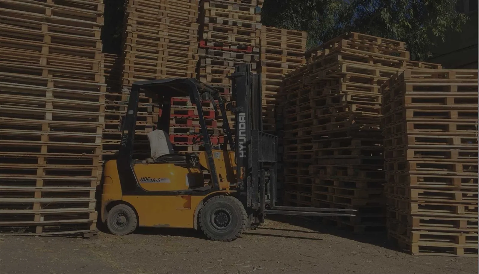 Yığılmış ahşap paletlerin arasında forklift